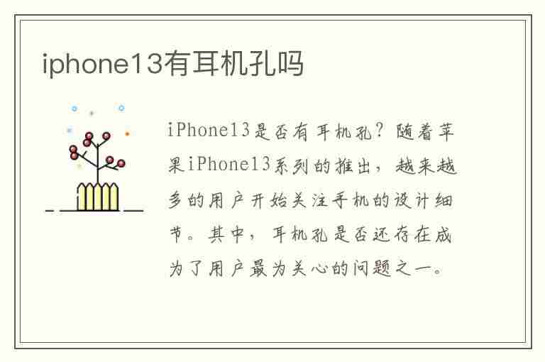 iphone13有耳机孔吗(iPhone13有耳机孔吗?)